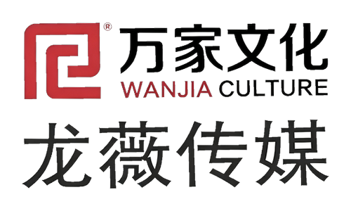 龙薇传媒